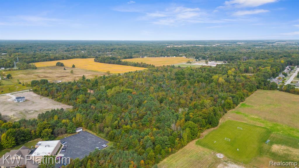 0 Allen Road Smiths Creek, MI 48074 - Photo 5 of 12