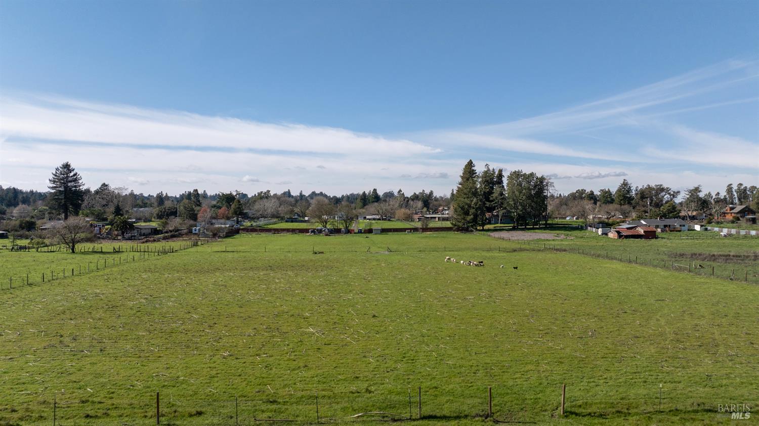 1853 Cooper Road Sebastopol, CA 95472 - Photo 5 of 8 a view of a field with an trees in the background