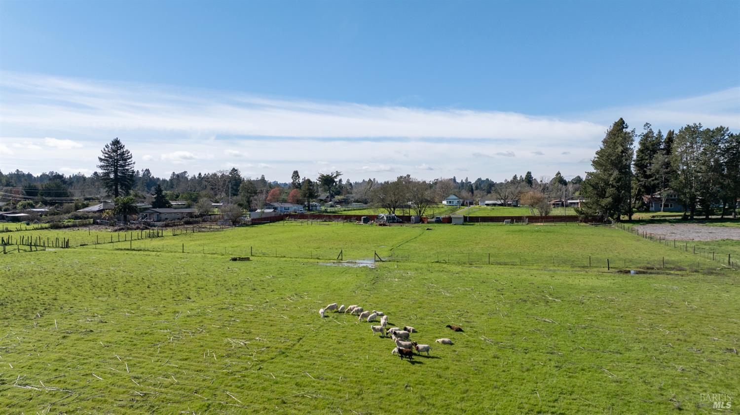 1853 Cooper Road Sebastopol, CA 95472 - Photo 6 of 8 a view of an ocean and a yard