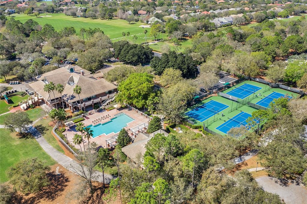 8399 Bowden Way Windermere, FL 34786 - Photo 51 of 59 a view of a yard with a tree
