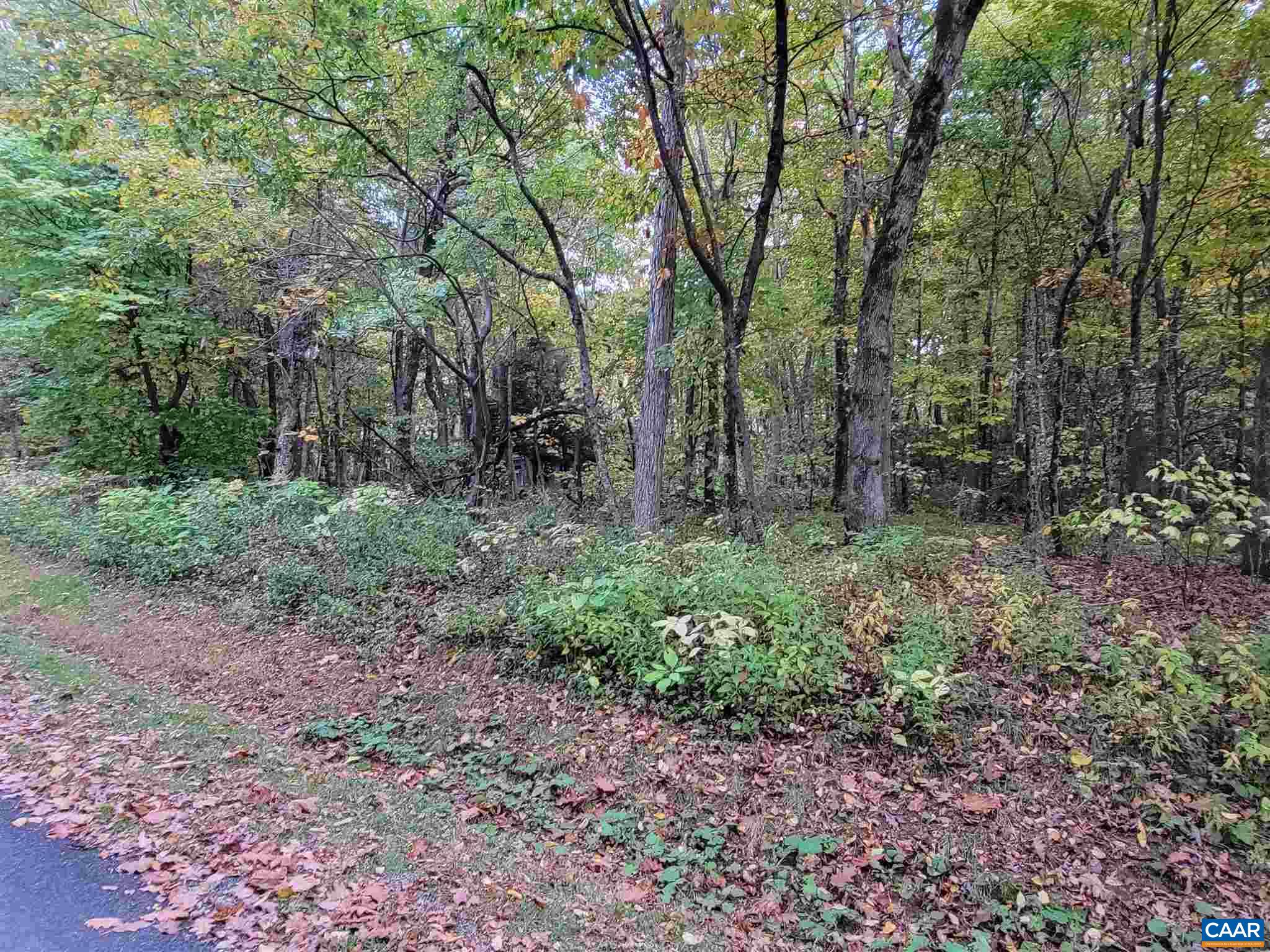 41 Hickory Spring Road Roseland, VA 22967 - Photo 4 of 7