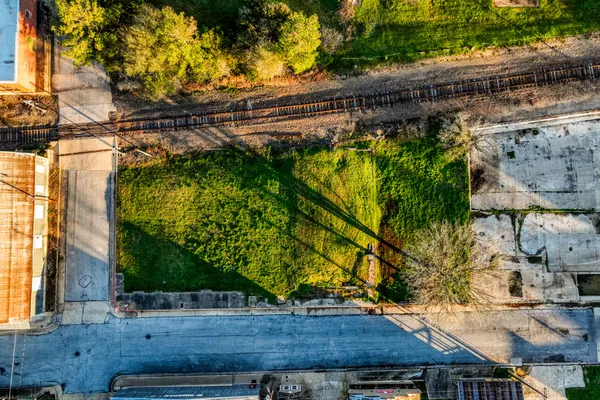 a view of a backyard with plants