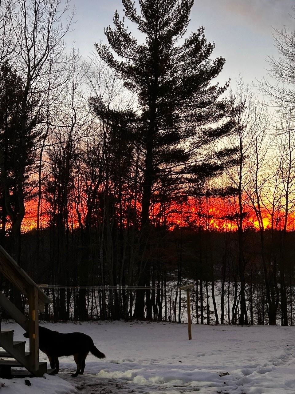 68095 East Deep Lake Road Iron River, WI 54847 - Photo 31 of 43