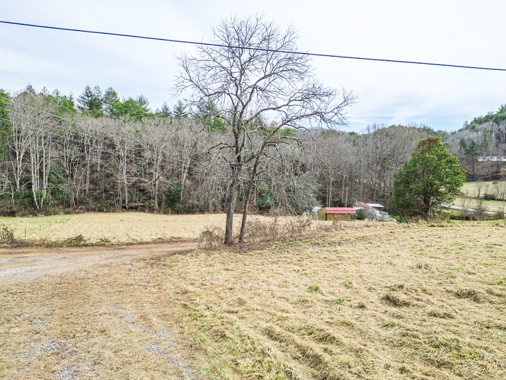 1098 Rowland Hill Road Marble, NC 28905 - Photo 10 of 26