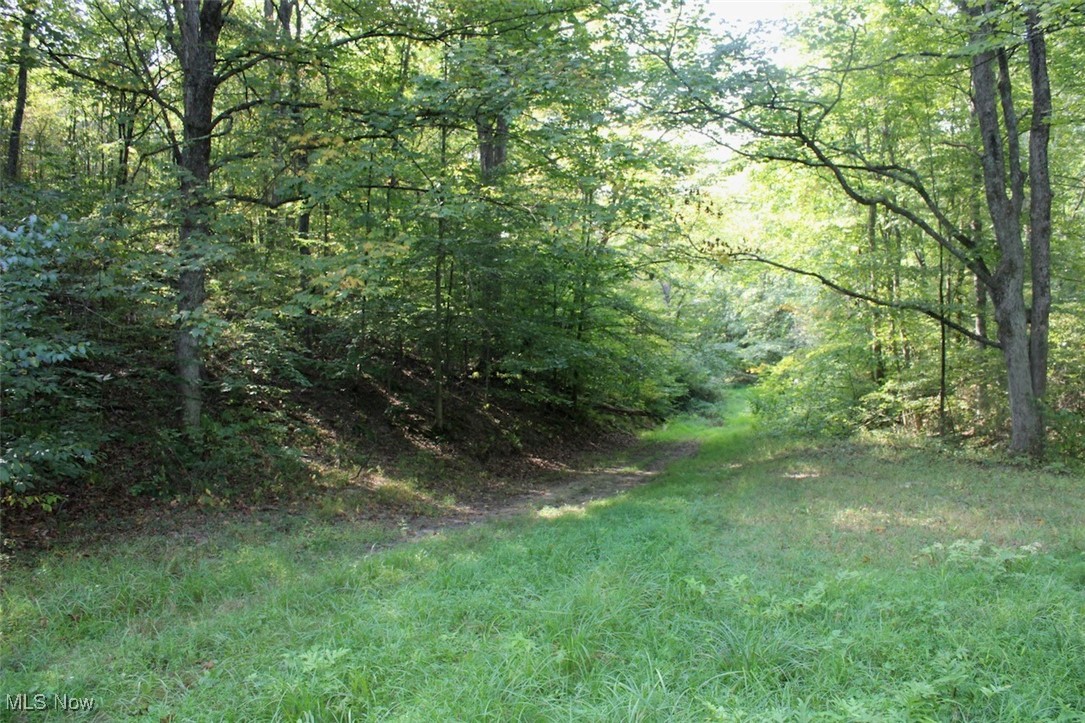 Leffler Road Roseville, OH 43777 - Photo 6 of 49 View of local wilderness