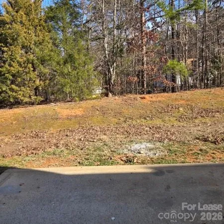 a view of large yard with large trees