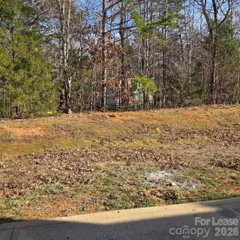 a view of a yard with large trees
