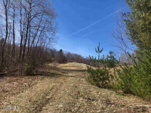 L35 West Road Stephentown, NY 12168 - Photo 3 of 6 20240830153615933399000000