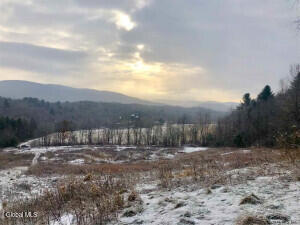 L35 West Road Stephentown, NY 12168 - Photo 4 of 6 20240830153616718215000000