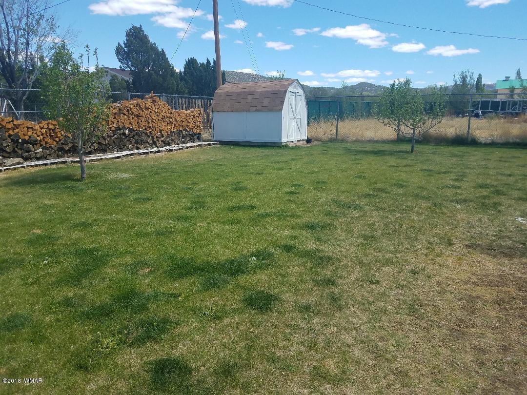 313 Brant Street Eagar, AZ 85925 - Photo 12 of 13