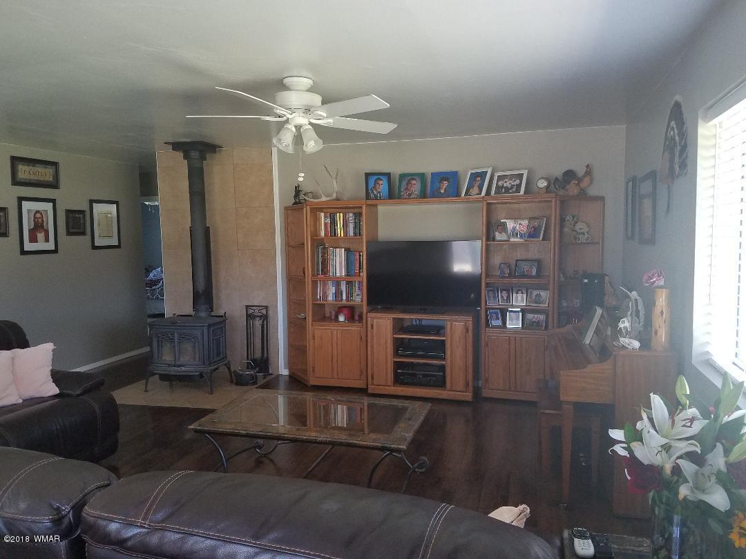 313 Brant Street Eagar, AZ 85925 - Photo 3 of 13
