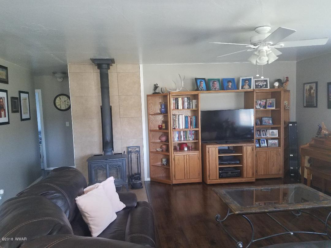 313 Brant Street Eagar, AZ 85925 - Photo 4 of 13
