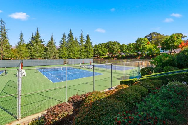 a view of a park and trees
