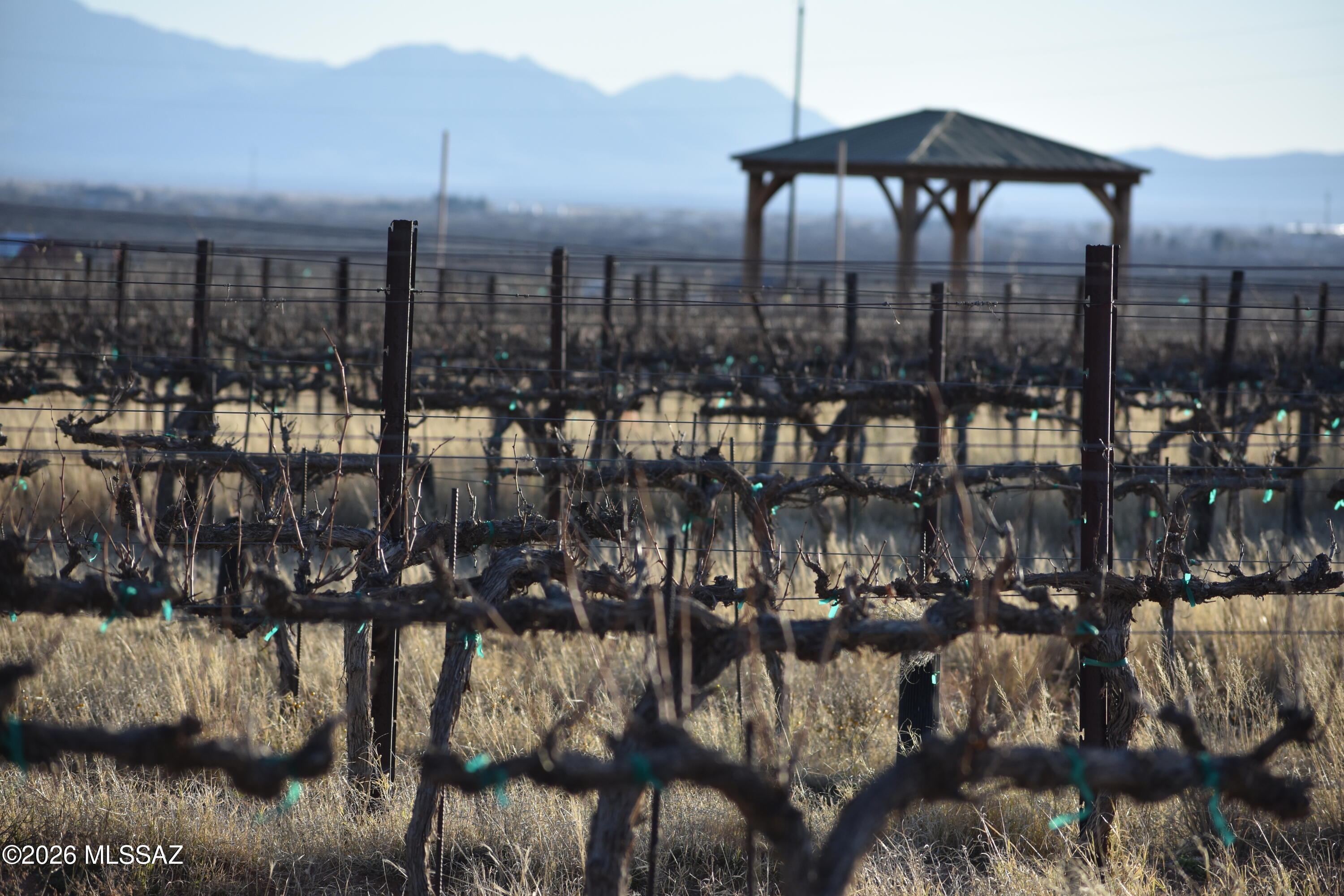 East Howling Wolf Road Willcox, AZ 85643 - Photo 46 of 49