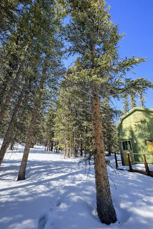 a view of outdoor space and trees