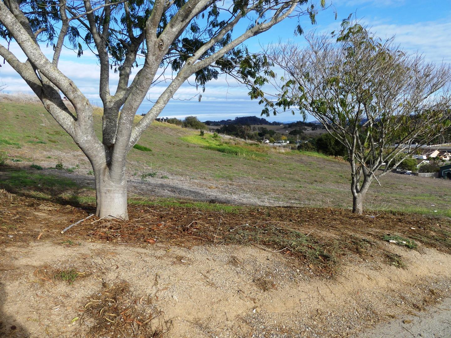 200 Hudson Landing Road Watsonville, CA 95076 - Photo 27 of 28 Gallery Image 27