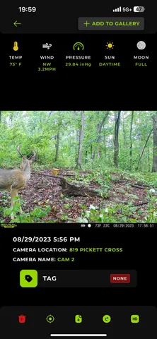 $549,000 | 819 Pickett Cross Road, Whitwell, TN 37397