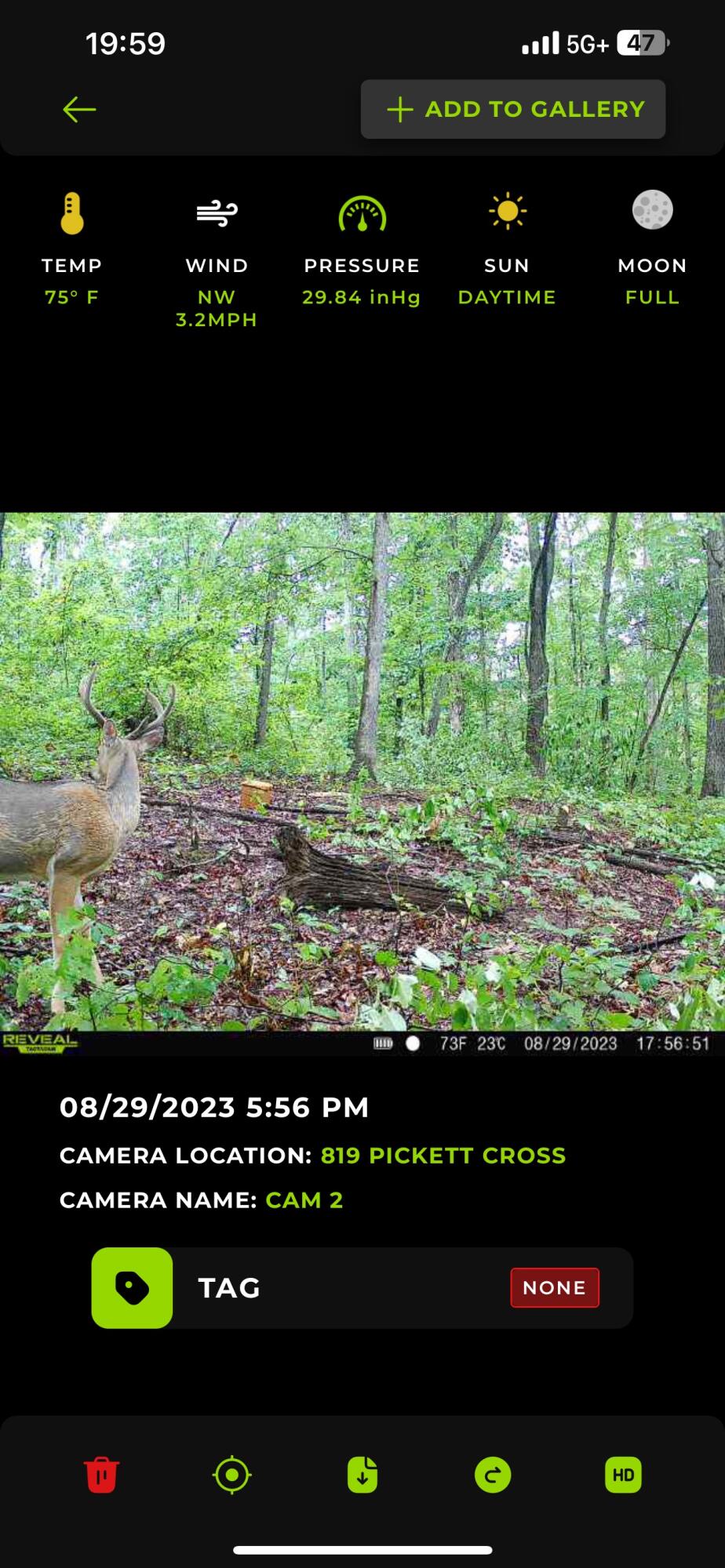 819 Pickett Cross Road Whitwell, TN 37397 - Photo 38 of 45 IMG_4902