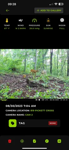 $549,000 | 819 Pickett Cross Road, Whitwell, TN 37397