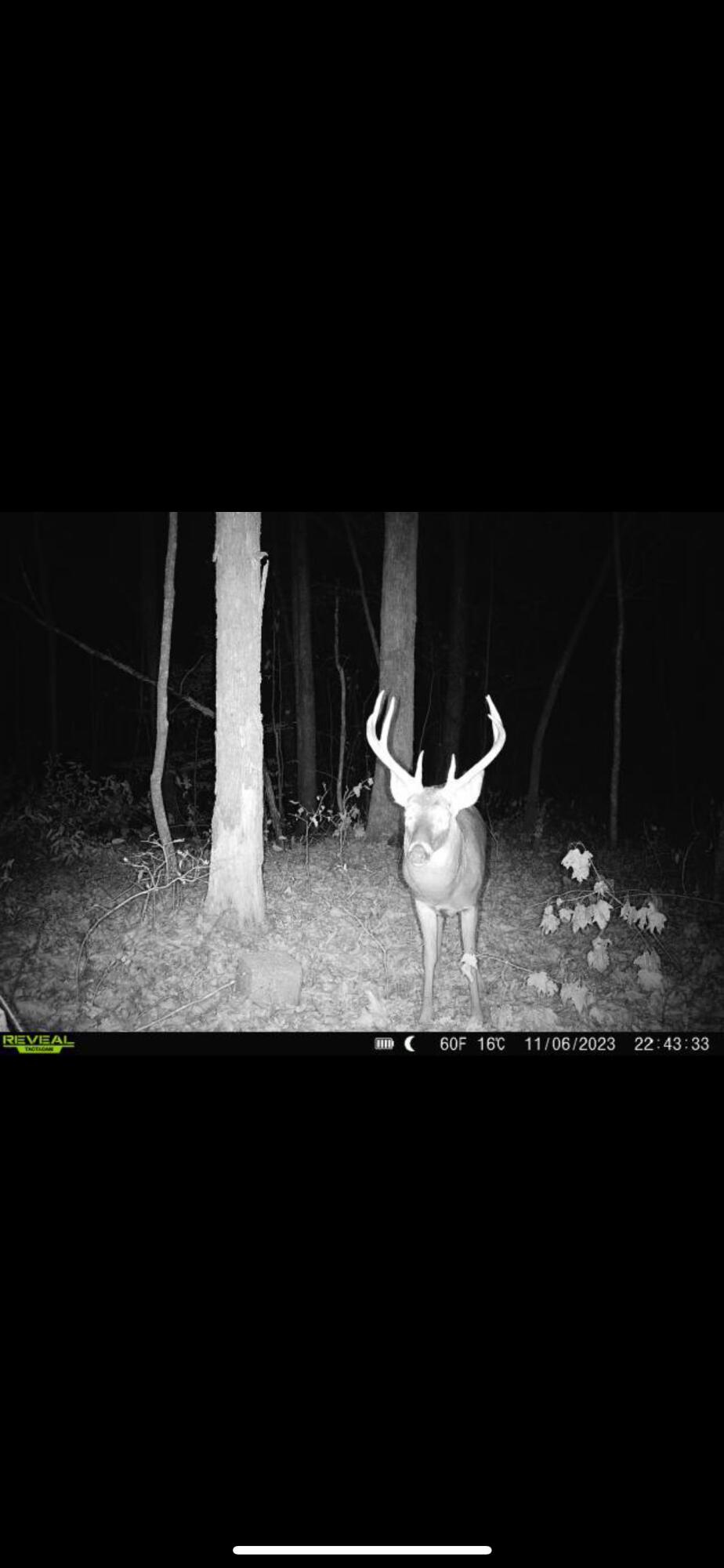 819 Pickett Cross Road Whitwell, TN 37397 - Photo 45 of 45 IMG_5181