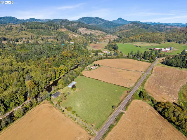 a view of a yard with a tree