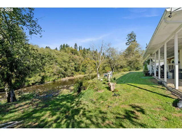 a view of a yard with an tree