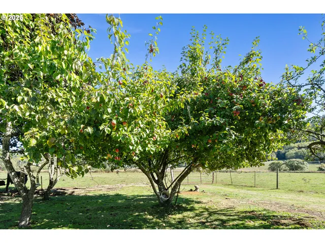 $850,000 | 22600 Blaine Road, Beaver, OR 97108