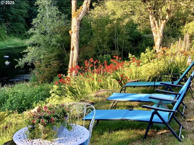 a view of a yard with a tree