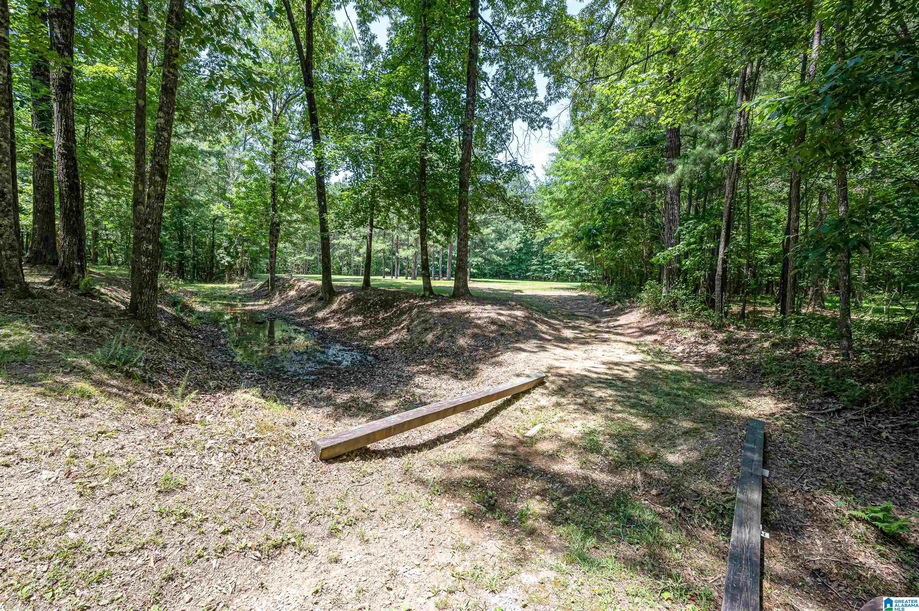 290 Baron Drive Chelsea, AL 35043 - Photo 48 of 59