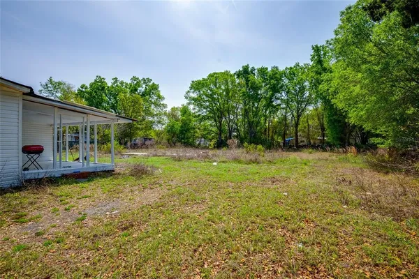 a backyard of a house with plants and large tree