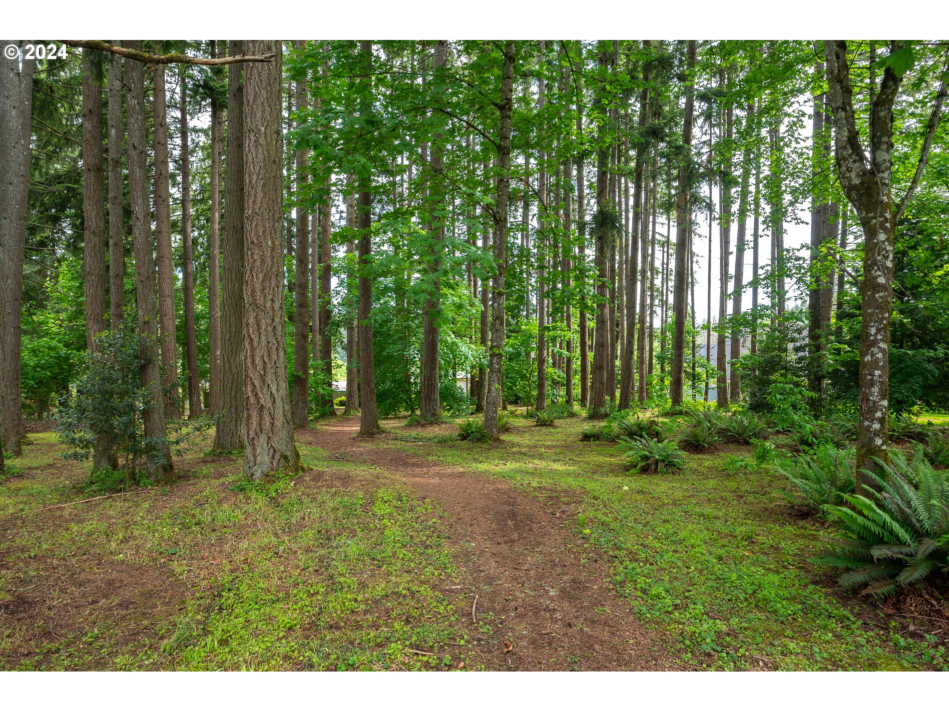17165 South Holcomb Road Oregon City, OR 97045 - Photo 34 of 37 Acreage