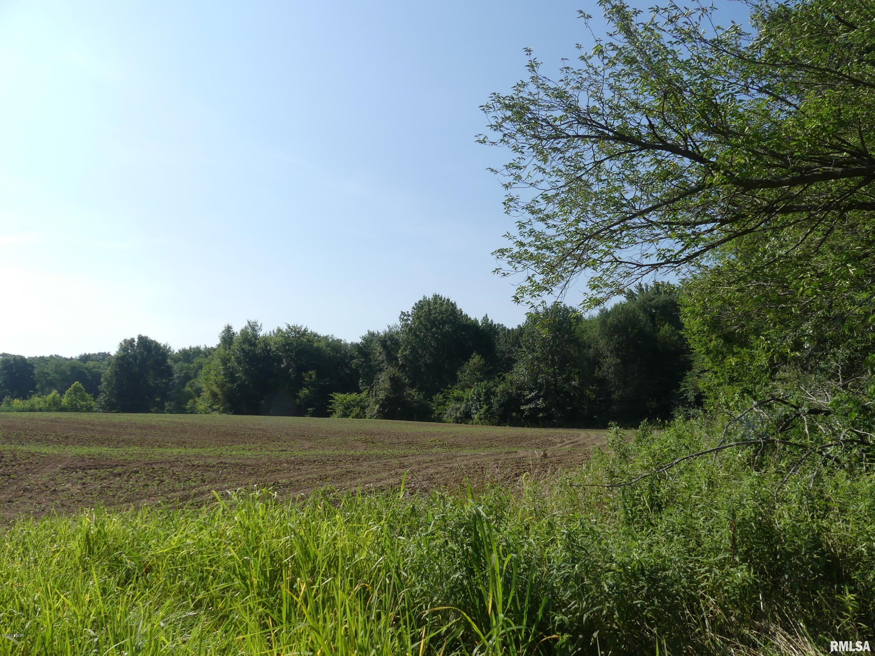 0 Baseline Road Thompsonville, IL 62890 - Photo 1 of 6