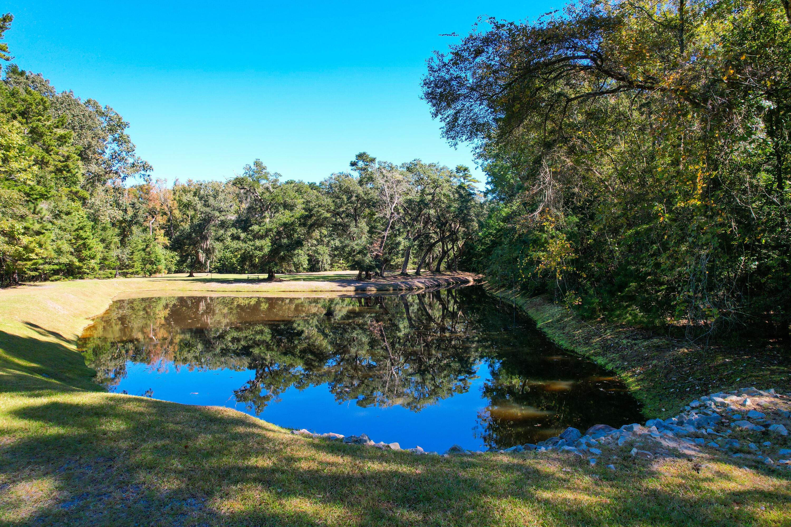 6530 Pepper Grass Trail Ravenel, SC 29470 - Photo 72 of 76