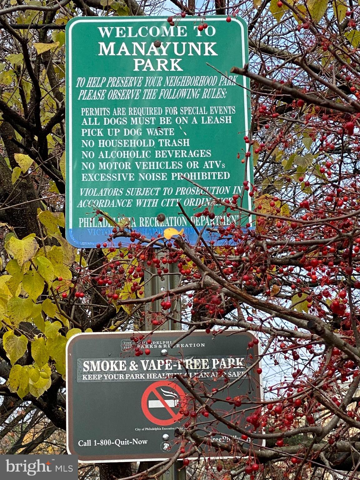 136 Rector Street Philadelphia, PA 19127 - Photo 39 of 42