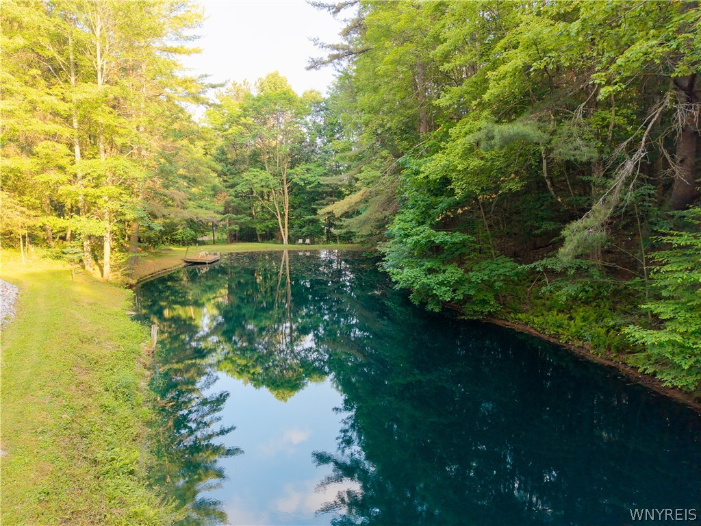 9173 Lyman Road Clarksville, NY 14727 - Photo 41 of 48 Pond