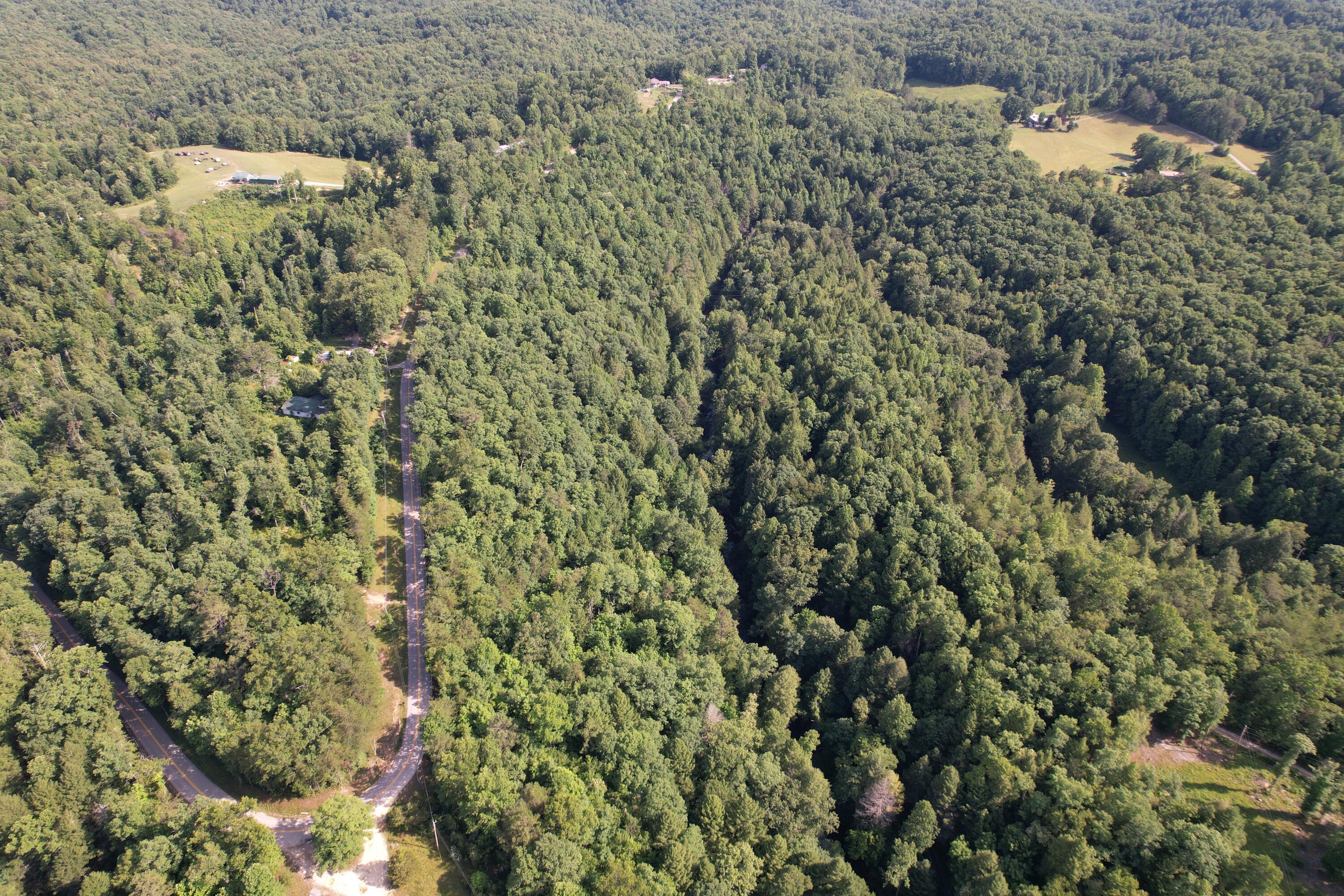 8119 Sandhill Road Whitley City, KY 42653 - Photo 9 of 28 DJI_0568