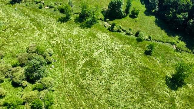 606 Beck Road Commerce, GA 30529 - Photo 5 of 10 a view of a lush green forest