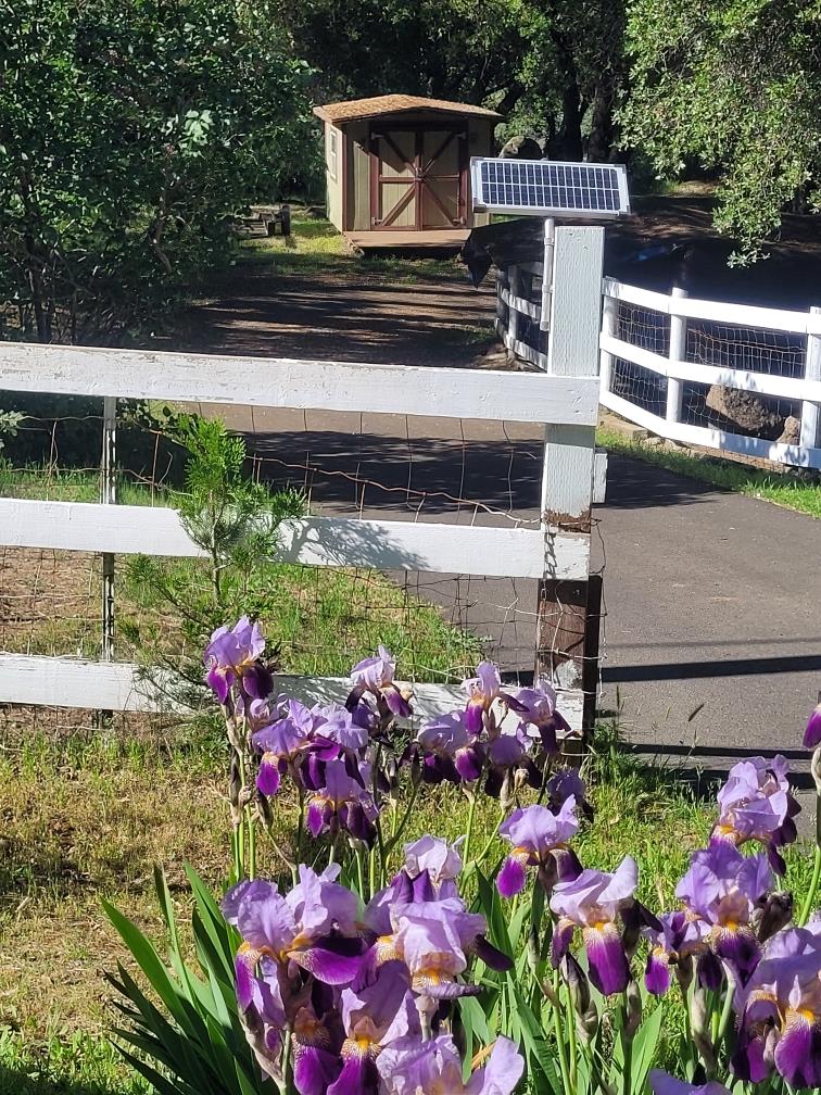 3091 Sand Ridge Road Placerville, CA 95667 - Photo 3 of 63