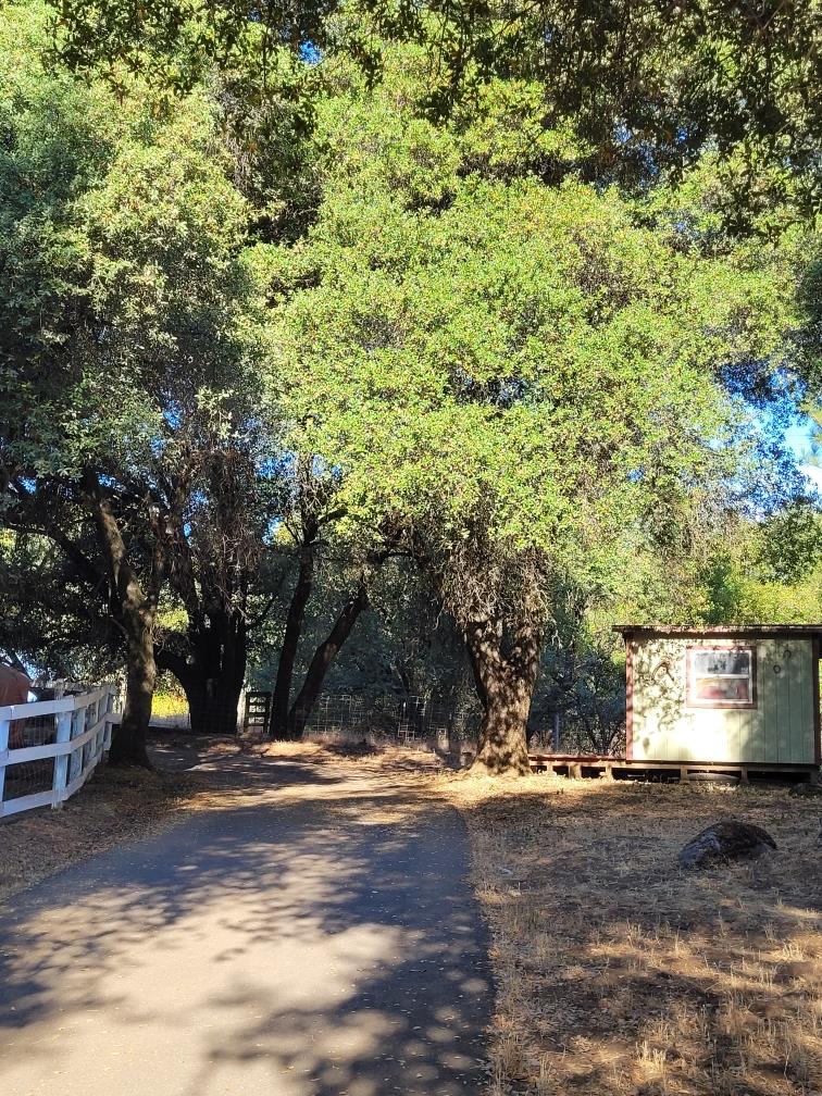 3091 Sand Ridge Road Placerville, CA 95667 - Photo 4 of 63