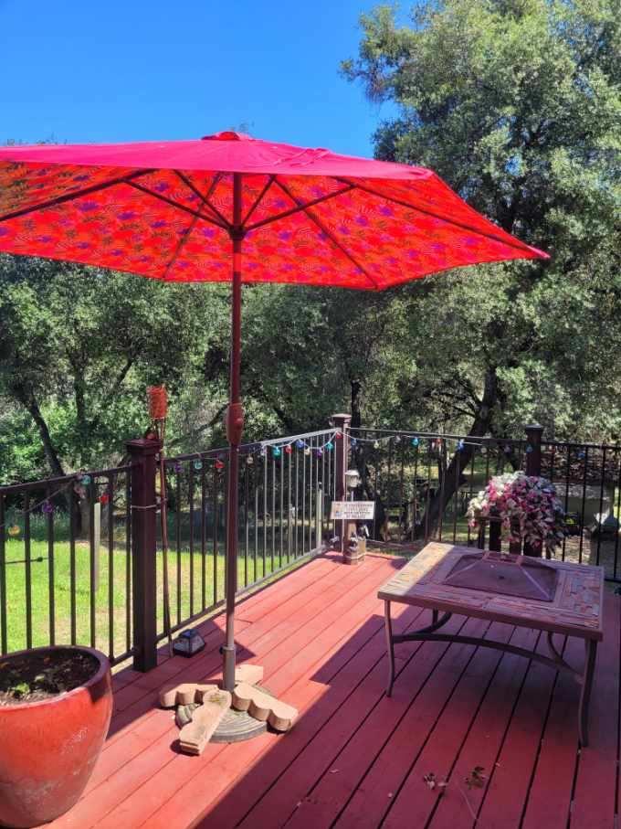 3091 Sand Ridge Road Placerville, CA 95667 - Photo 44 of 63