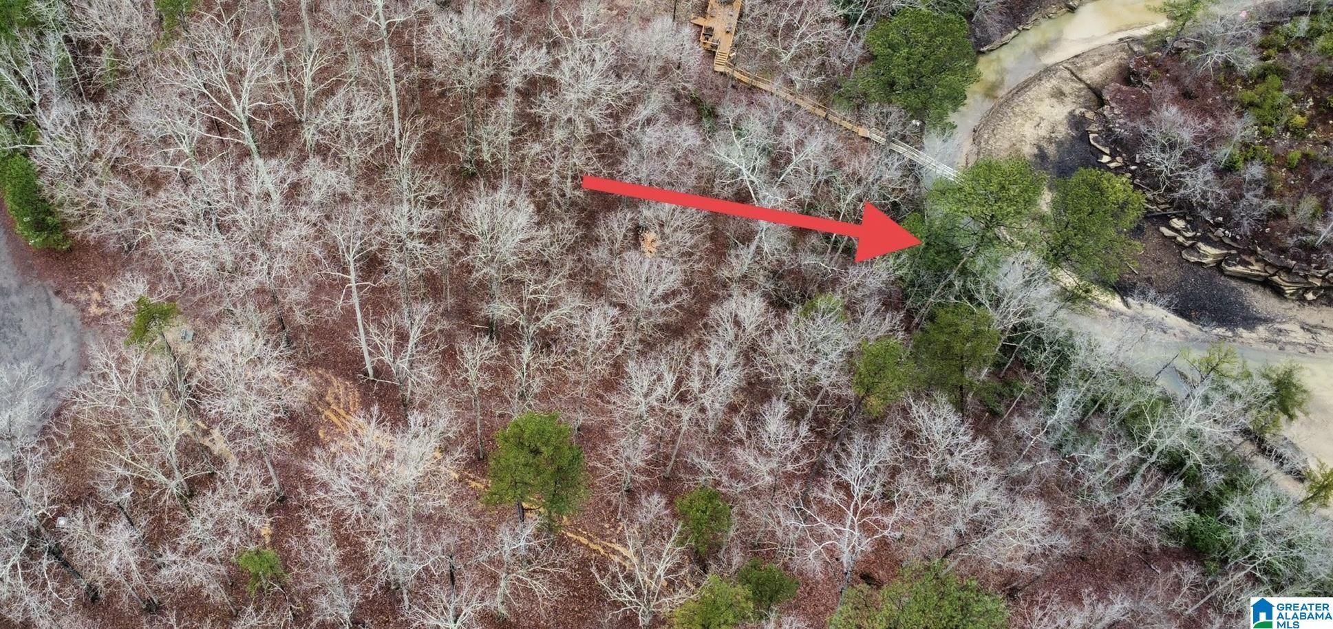 Lot 5 Little Dismal Road, Unit 5 Arley, AL 35541 - Photo 10 of 12