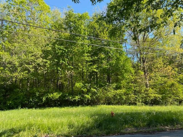 0 Farrell Street Niota, TN 37826 - Photo 1 of 2
