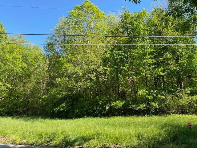 0 Farrell Street Niota, TN 37826 - Photo 2 of 2