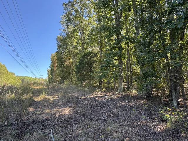 a view of a yard with a tree