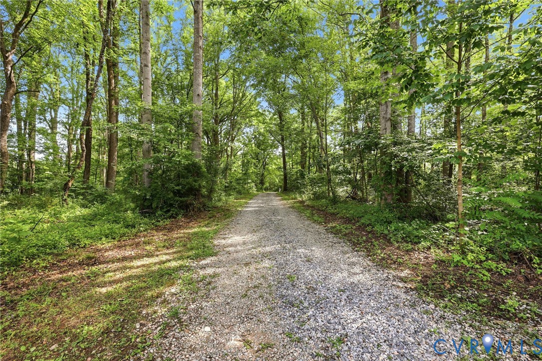 1375 Gills Road Powhatan, VA 23139 - Photo 2 of 48 Private drive to a private oasis in the woods.