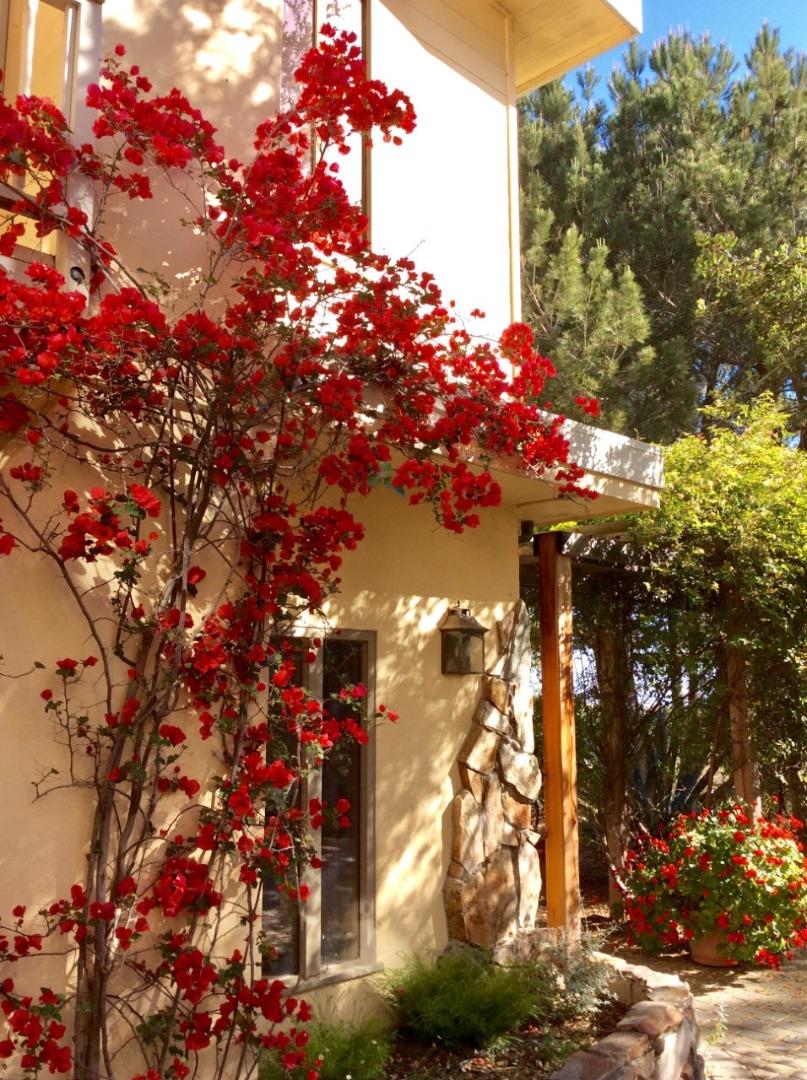 278 Corral De Tierra Road Salinas, CA 93908 - Photo 26 of 38 a picture of tree