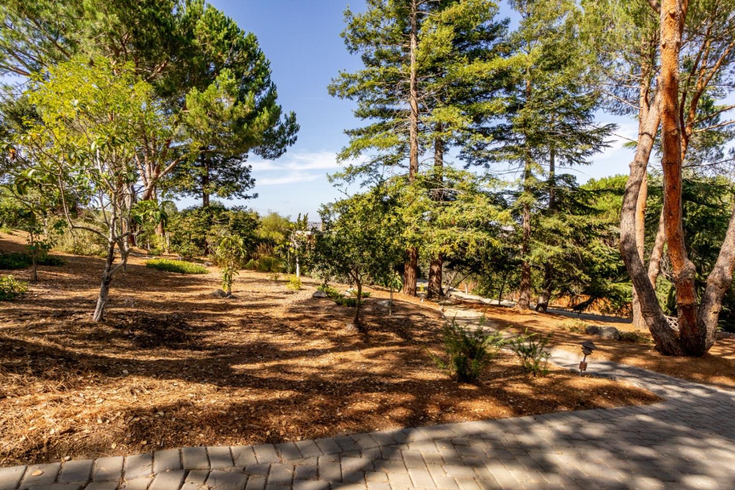 278 Corral De Tierra Road Salinas, CA 93908 - Photo 37 of 38 a view of a yard with a tree