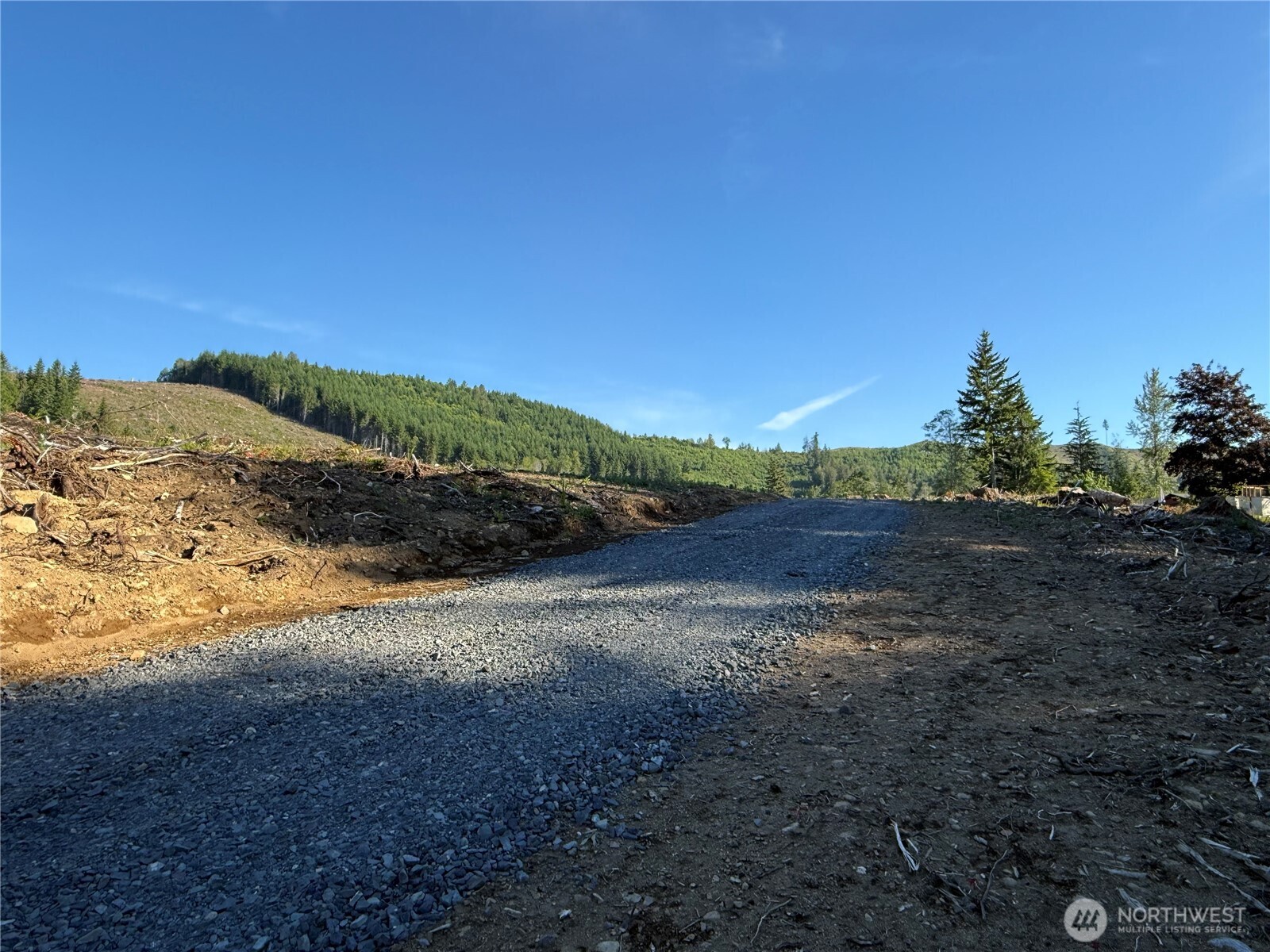 215 Mineral Road North Mineral, WA 98355 - Photo 16 of 29