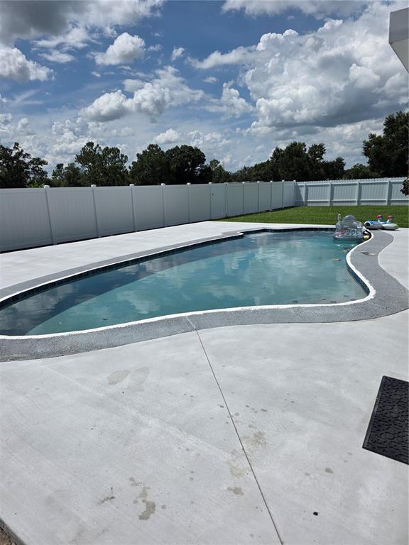 4821 Platt Road Plant City, FL 33565 - Photo 28 of 49 a view of swimming pool with a yard