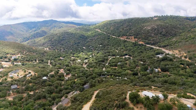 a view of a forest with mountains in the background